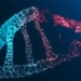 the first completely human gene published by scientists 119732