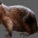 the first living organisms in montana 30 million years ago 122636
