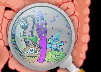 the gut microbiome may be the source of different additional sensations in people 120838