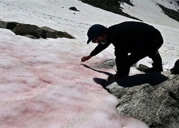 the ice cream dreams of watermelon and sweet as sugar when summer comes 120520