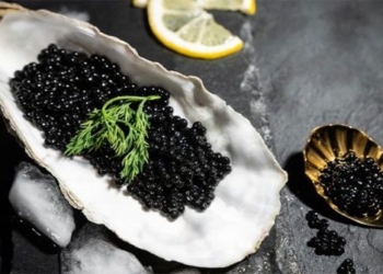 the ingredients were discarded to make a special dish for the rich 118634