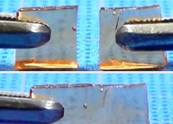 the japanese scientists successfully create biodegradable plastic from sugar near 120156