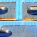 the japanese scientists successfully create biodegradable plastic from sugar near 120156