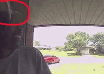 the king opens the door to the house of a man bitten by a snake in the face 119832