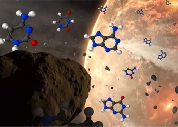 the life on earth may have been sent from space 120231