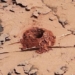 the living soul of sao hoa nam 2 meters below the ground 121434