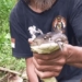 the man using his hands to catch a snake in a dusty ram 119987