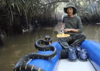 the man who got stuck in a snake boat what happened next 119381