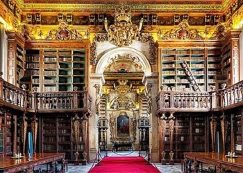 the most beautiful libraries in the world dont miss out on preserving these books and manuscripts 119725