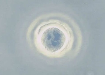 the most dangerous types of pathogens in humans ever discovered 122005