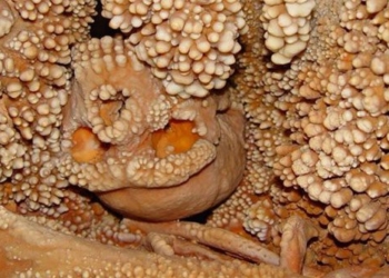 the mystery of the man in the cave with another species 130 000 years old 109808