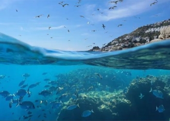 the mystery of the origin of life may have been answered 123645
