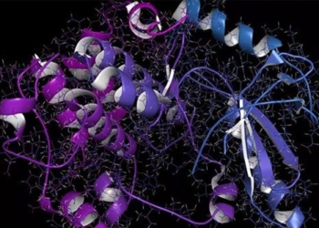the new face of meta predicting the shape of 600 million proteins that science has yet to know 124241