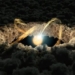 the ninth planet mysteriously hidden from the sun golden egg