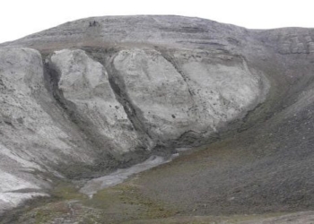 the oldest dna sample reveals a unique ecosystem 2 million years old 124640