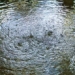 the peculiar water spring year round but still cold in vinh long 119679