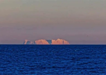 the photo gifted by the sun unique and attention grabbing 118533