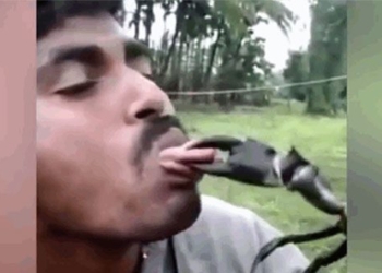 the quirky incident where a man almost got his tongue cut off 119369