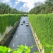 the road to the beautiful green wall like in the movie in hanoi 121892