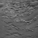 the search for a home on mars has begun 123901