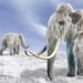 the secret about the last years of the mammoth 21530