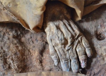 the secret behind the mummified baby several centuries ago 123822