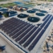 the secret that helps israel farm fish on deserts not only using water but also exporting