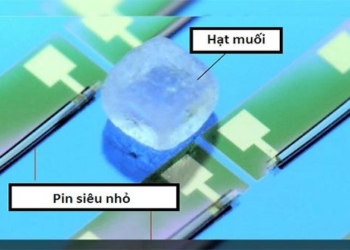 the smallest memory chip in the world is only the size of a dust speck 118990