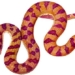 the snake is green but has brown red color what will happen tonight 120574