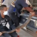 the snake is more than 3 meters long in the car engine 118710