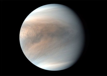 the star thuy may be the planet earth according to source 118047