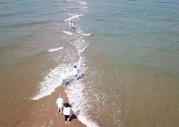 the strange appearance of fish bone shaped sandbars 2 hours after the tide recedes in china 123423
