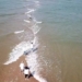 the strange appearance of fish bone shaped sandbars 2 hours after the tide recedes in china 123423