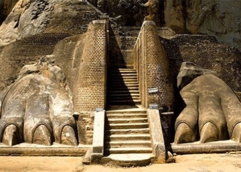 the success of an ancient structure in the sri lankan jungle 123693
