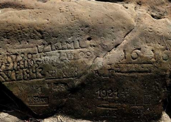 the surface of the river in europe signals disaster 122370