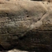 the surface of the river in europe signals disaster 122370
