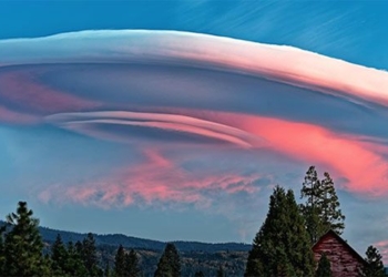 the times giant squid appear around the world 124433