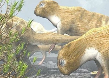 the truth that makes scientists you believe you think ancient mice are as big as horses today 121244