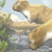 the truth that makes scientists you believe you think ancient mice are as big as horses today 121244