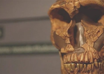 the ultimate fate of neanderthals is not due to our common ancestors causing it in a one sided way 119935