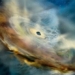 the universe tilts because of the monster turned upside down 120404