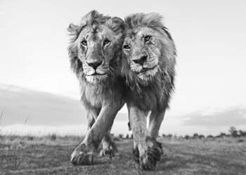 the winning works of the natural photo contest 2022 124303