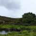 the worlds most lonely tree keeps a big secret 122813