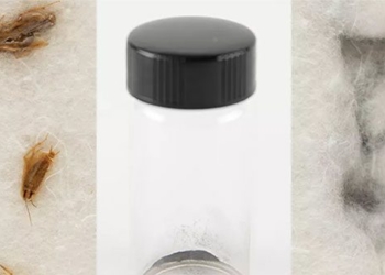 theft of moonstone from apollo 11 mission is being auctioned for 120864