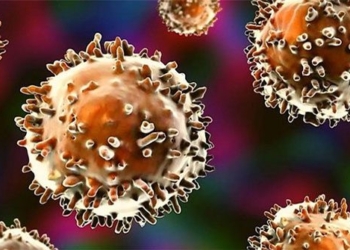there is evidence of secret cells in the immune system of humans 120508