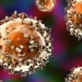 there is evidence of secret cells in the immune system of humans 120508