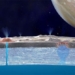 there may be living organisms on the moon saturn europa 119718