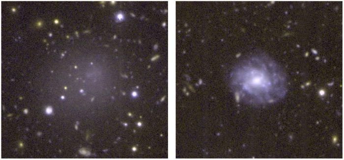Living Fossil Galaxy