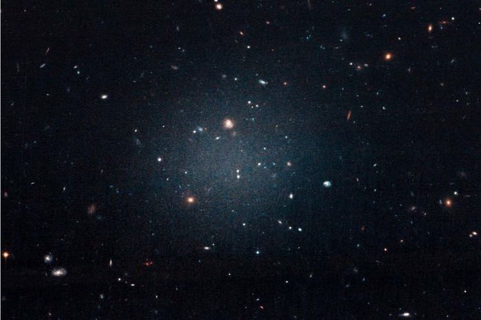 Galaxy with Little Dark Matter