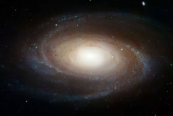 Galaxy M81
